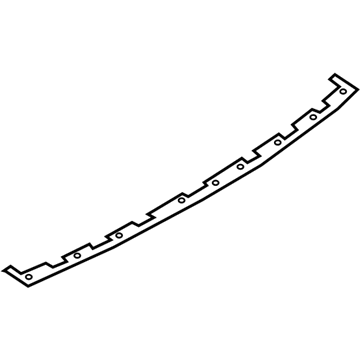 Ford LB5Z-17C830-CA Molding - Bumper Bar