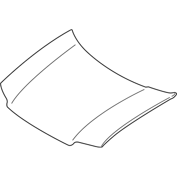 Ford 5L8Z-16612-AA Hood Assembly - Less Hinges