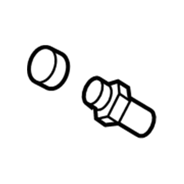 Lincoln DG9Z-2208-B Screw - Bleed