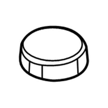 Lincoln 6E5Z-2162-AA Plug - Filler