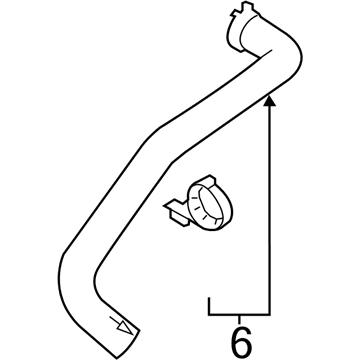 Ford F-150 Coolant Reservoir Hose - AL3Z-8260-B