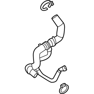Ford ML3Z-8260-K Hose - Radiator