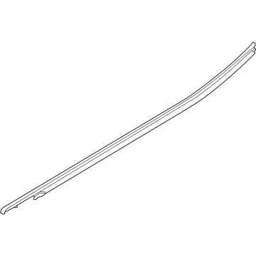 Ford N1WZ-2625596-F Belt Molding