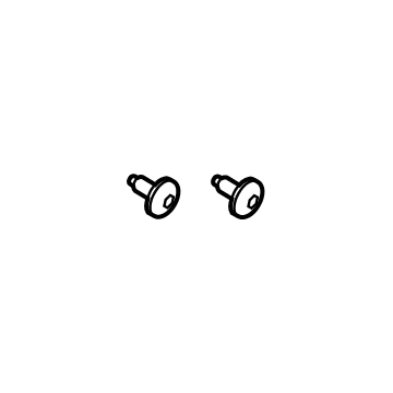 Lincoln -W790506-S900 Rivet - Plastic