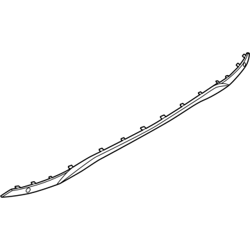 Lincoln R2TZ-17K835-SB Lower Molding