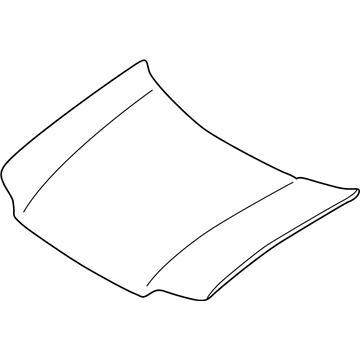 Ford 5L8Z-16612-AA Hood Assembly - Less Hinges