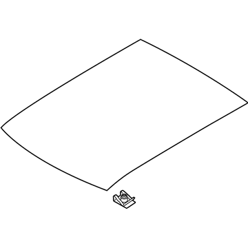 Ford DT1Z-1750054-A Glass - Roof