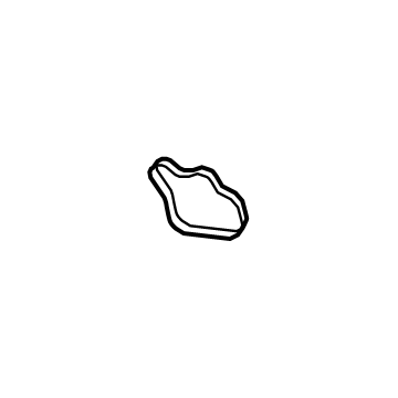 Ford FT4Z-6020-A Gasket