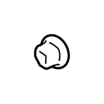 Ford 2L2Z-17C582-AA Grommet