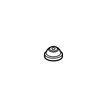 Ford -W702953-SS34X Plug