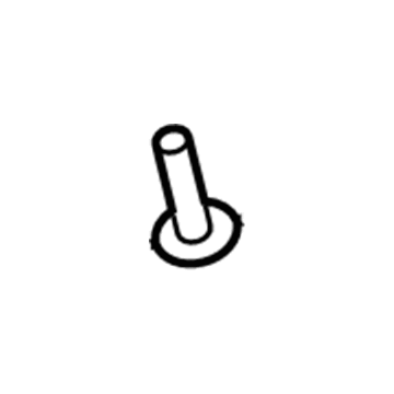 Ford -W709346-S300 Pin