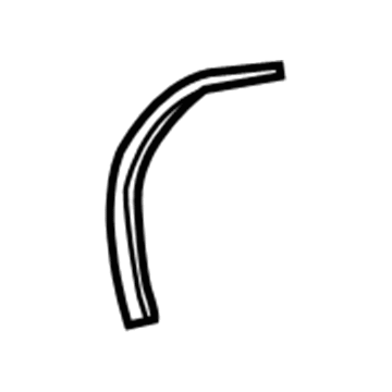 Ford DT1Z-6125325-C Weatherstrip - Door Lower