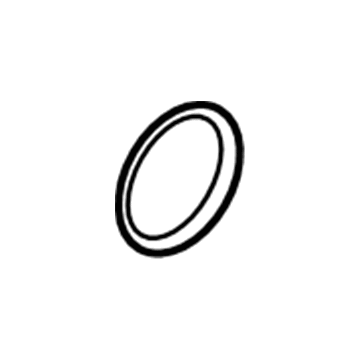 Ford F1VY-8255-A Seal - Thermostat