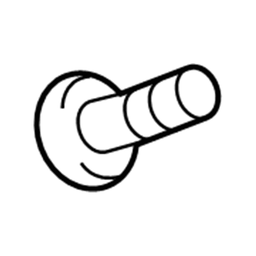 Ford -W506962-S437M Screw