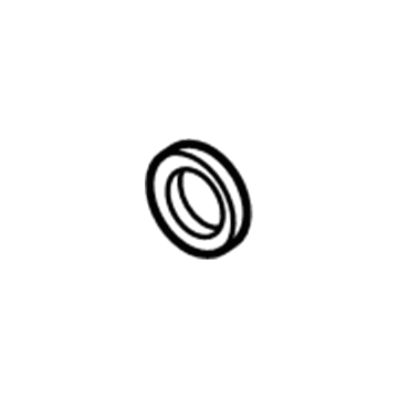 Ford Differential Seal - CV6Z-4676-A