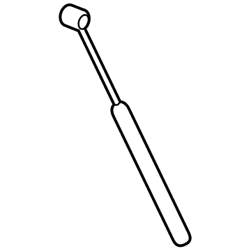 Ford LC3Z-16C826-A Lift Assembly - Gas