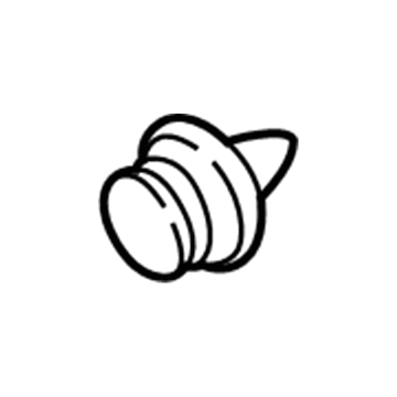 Ford -W713297-S300 Pin