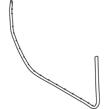 Ford M2DZ-9820530-B Weatherstrip Assembly - Door Opening