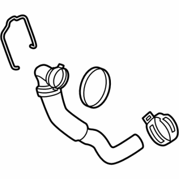 Ford LC3Z-8075-G Hose Assembly