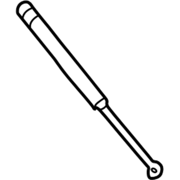Ford F81Z-16C826-AB Lift Assembly - Gas