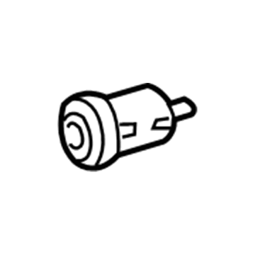 Lincoln 5W4Z-5421991-BB Cylinder Assembly - Actuator