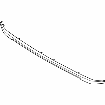 Ford N1WZ-8419-AA Lower Molding