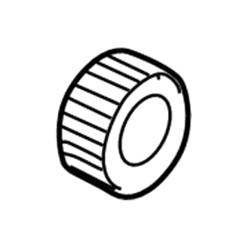 Ford F2DZ-13N019-B Retainer - Bulbs