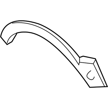 Ford 3L1Z-16038-AAPTM Moulding