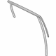 Ford AM5Z-5825767-B Window Channel, Rear Driver Side Ford AM5Z-5825767-B Window Channel, Rear Driver Side
