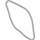 Ford DP5Z-5425325-A Weatherstrip, Driver Side