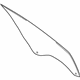 Ford FS7Z-5421410-A Door Glass, Front Passenger Side