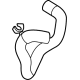 Ford LX6Z-8286-X Lower Hose Ford LX6Z-8286-X Lower Hose