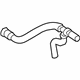 Ford DM5Z-8260-A Upper Hose Ford DM5Z-8260-A Upper Hose