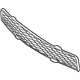 Ford EG1Z-17K945-CA Bumper Grille, Front Lower