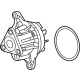 Ford P2GZ-8501-A Water Pump Ford P2GZ-8501-A Water Pump