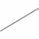 Ford JR3Z-6320000-AH Stripe Tape, Passenger Side Ford JR3Z-6320000-AH Stripe Tape, Passenger Side