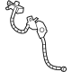 Ford NL1Z-2078-C Flex Hose, Front Passenger Side