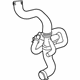 Ford CK4Z-8286-E Lower Hose Ford CK4Z-8286-E Lower Hose