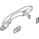 Ford N1WZ-E22404-DRPTM Handle Assembly - Door Outer