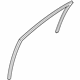 Ford FN1Z-7421596-F Run Channel, Front Passenger Side