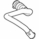 Ford JL3Z-6C646-C Lower Hose