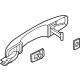 Ford N1WZ-E22404-AR Handle Assembly - Door Outer Ford N1WZ-E22404-AR Handle Assembly - Door Outer