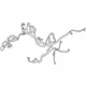 Ford CM5Z-14290-D Wire Harness