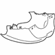 Ford CM5Z-3530-AD Lower Column Cover Ford CM5Z-3530-AD Lower Column Cover
