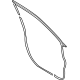 Ford NZ6Z-6020530-A Door Weatherstrip, Front Passenger Side