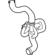 Ford LK4Z-8286-J Lower Hose Ford LK4Z-8286-J Lower Hose