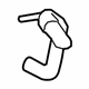 Ford DP5Z-8286-B Lower Hose Ford DP5Z-8286-B Lower Hose