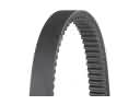 Drive Belt