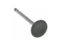 1994 Ford Ranger Intake Valve