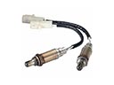Mercury Oxygen Sensors